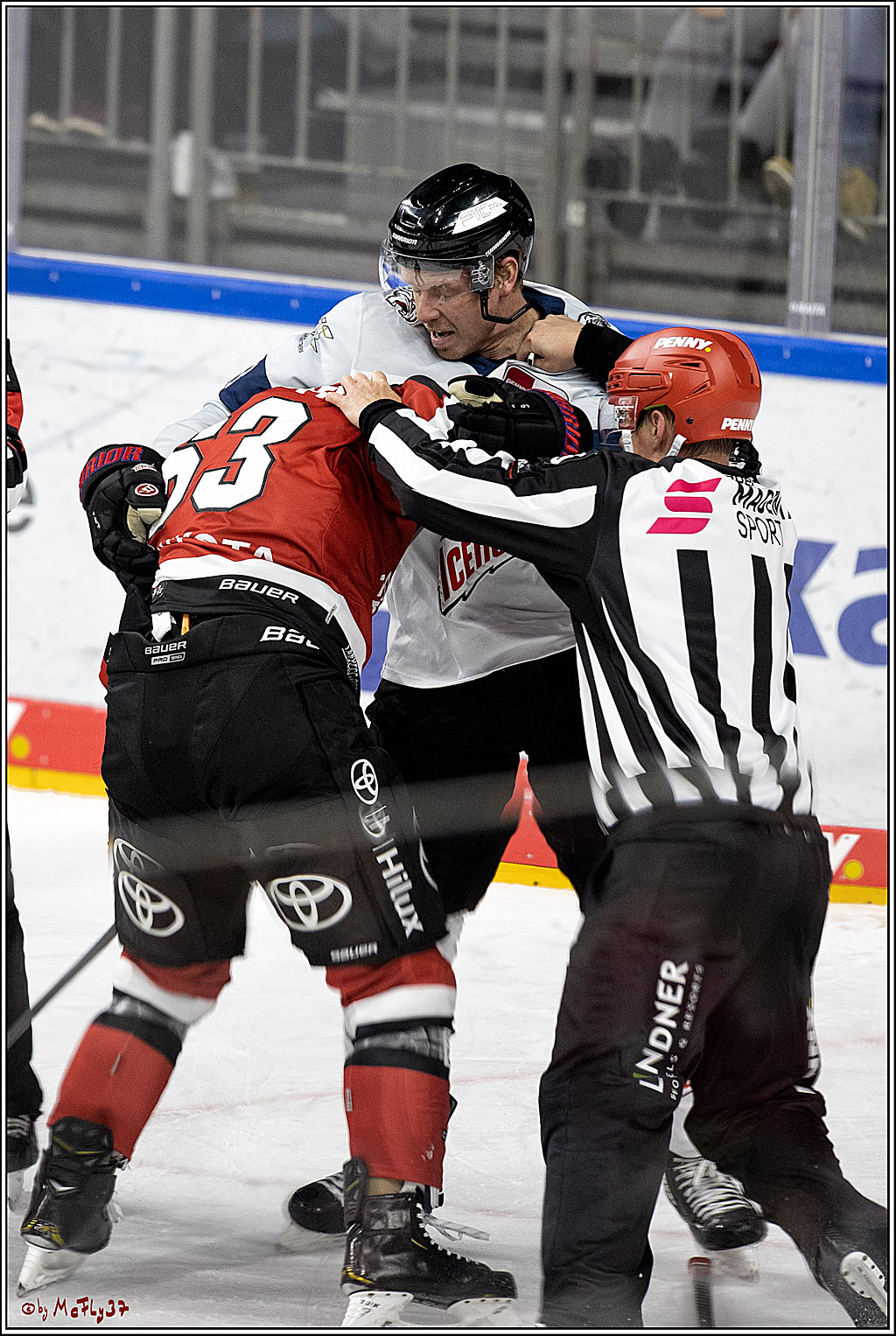 PENNY DEL;  Koelner Haie - Nuernberg Ice Tiger; Koeln, 21.09.2021
